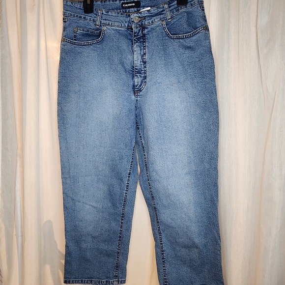 Cambio Jeans Style 008700 Size 16 Short - Picture 1 of 6